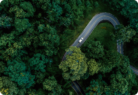 Environmental Sustainability