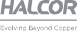 Halcor Logo