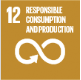 SDG 12